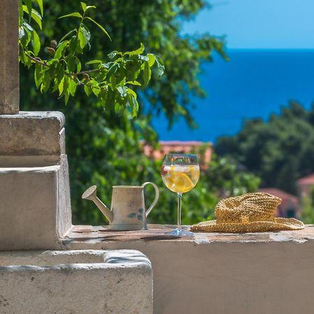 דוברובניק Villa Flores Garden מראה חיצוני תמונה